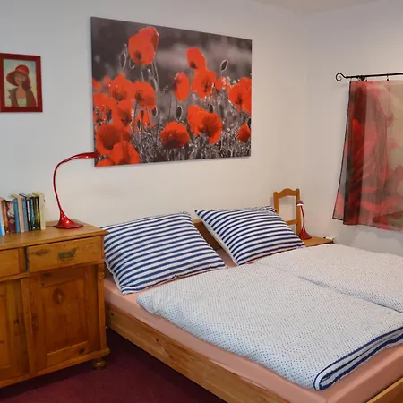 Apartman Nad Potokem Český Rudolec 外观 照片