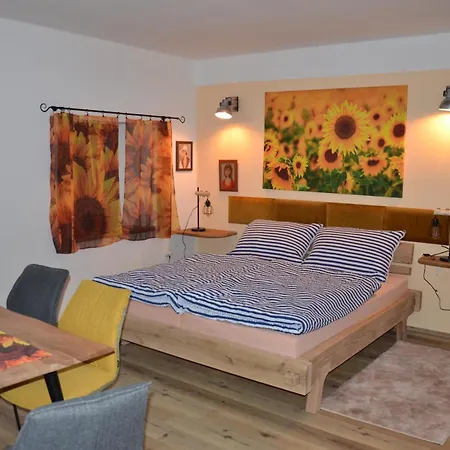 Apartman Nad Potokem Český Rudolec 外观 照片