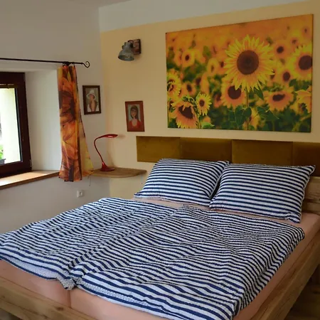 Apartman Nad Potokem Český Rudolec 外观 照片